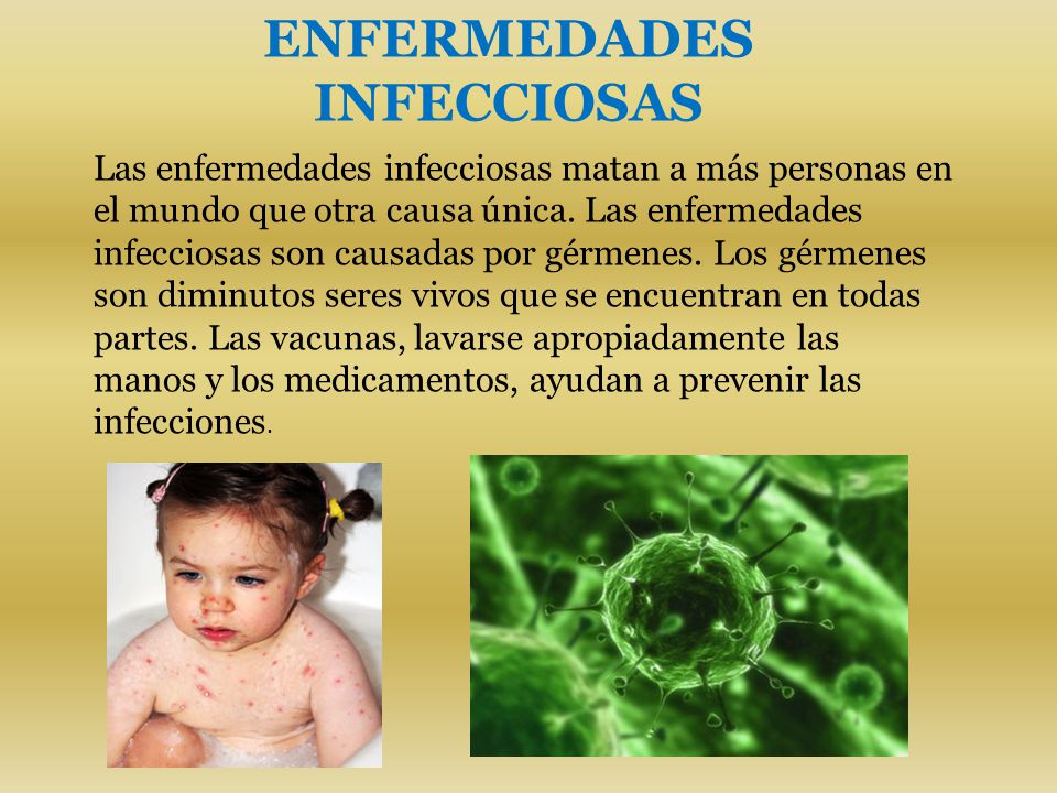 Por medio de las patatas es posible adelgazar